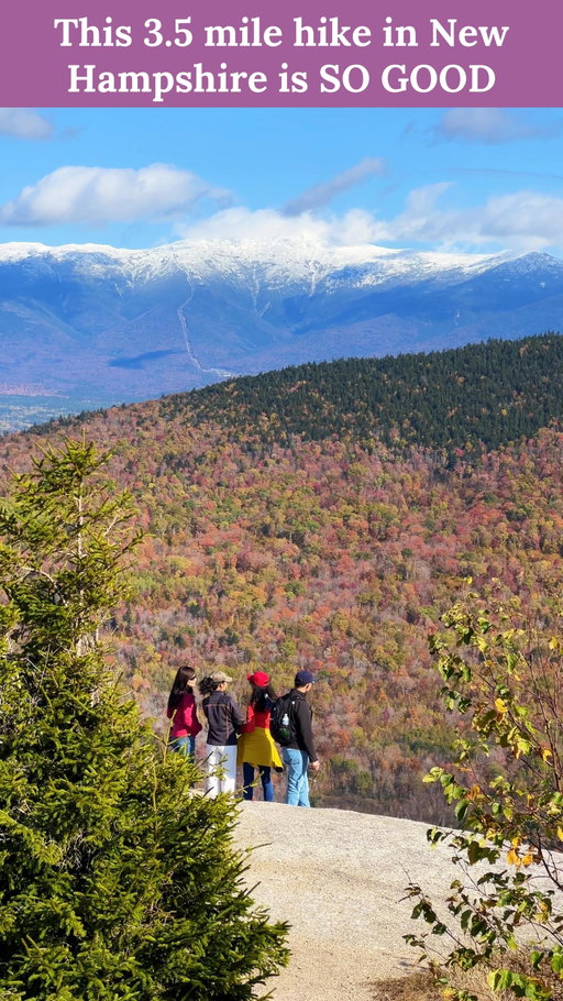 Big Views! Short(er) hike in the NH! 🏔️

If you’re looking for an AMAZING payoff without committing to a full-day 4000-footer you must add the Sugarloaf Trail to your list with two summits (but both with similar views): Middle Sugarloaf and North Sugarloaf. 

⬇️ The details ⬇️

🗺️ Trail Name: Sugarloaf Trail (Out-and-Back) 
📏 Distance: About 3.5 miles roundtrip 
📈 Elevation Gain: Around 1,060 ft 
📍 Location: Sugarloaf trailhead is off Zealand Road which is off RT 302 (also known as Crawford Notch Road) 
⚠️ Difficulty: Moderate. Starts easy by the Zealand River, but the final ascent to the saddle is steep, and the final push to Middle Sugarloaf includes a short, ladder-like staircase. 
🅿️ Parking: Limited and this hike is very popular, especially on weekends. 
🤩 Summit Tips: We went to North Sugarloaf first, then hit Middle Sugarloaf last for the big reveal. The wide, open ledges on Middle Sugarloaf are where you’ll find those breathtaking panoramic views of the entire White Mountain range, including the snow-covered Mount Washington when we summited.