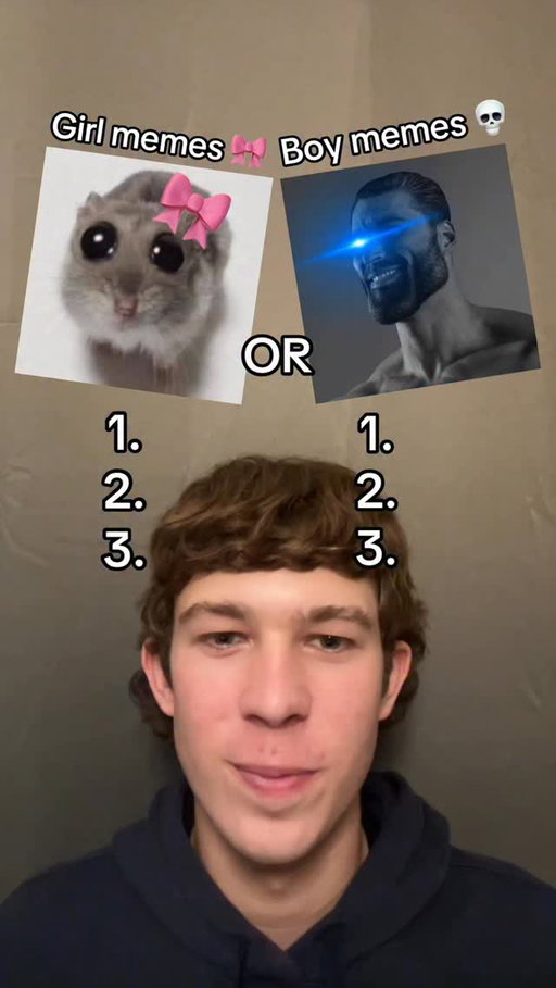 Comment what score u get🥰🥰 lovely sad 24gh chicken stars meme #funny #meme #memes #viral #reels #fyp