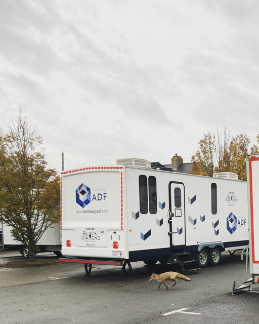 Not on the call sheet... but these ADF trailers are impossible to resist! 🦊🎬🚛

#baselife #behindthescenes #productionlife #visitor #wildlife #fox #londonlifè
