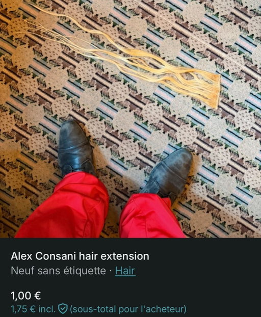 wANNA get @alexconsani human hair extension from the McQueen show ? iTS 1€ on @vinted (link in bio)
Partenariat rémunéré