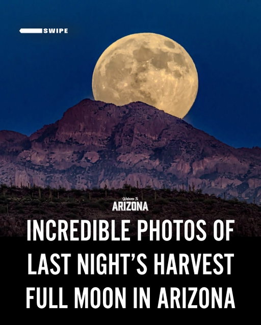 SWIPE ⬅️ Last night’s Harvest Moon over Arizona was unreal. This year’s Harvest Moon also known as a supermoon appeared even larger and brighter in the night sky, marking the full moon closest to the autumnal equinox.

Did you see it last night? 🌕

📸: @theskydetective @heber444 and Tammy Keyes

#HarvestMoon #Supermoon #Fullmoon #WelcometoArizona
