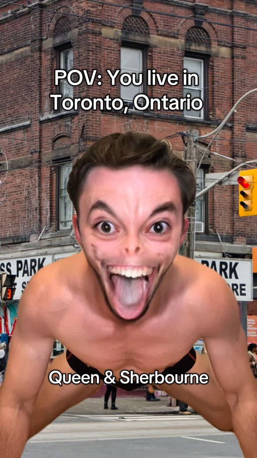Toronto, Ontario is like a quilt your grandma knit that doesn’t make sense cohesively. You got a square where people fent lean and run at cars on all fours, a square where people do yoga with their dogs in parks and a square where people listen to Lady Gaga till 5am and somehow make it into work the next day. Make it make sense. 

#toronto #ontario #torontolife #trend #canada #funnyreels
