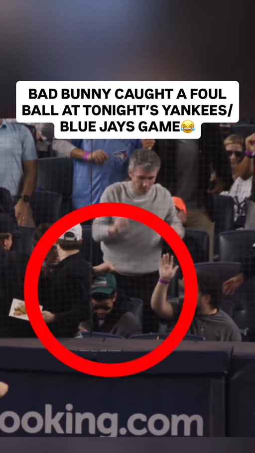 This foul ball landed right in Bad Bunny’s lap😂

#BadBunny #Yankees #BlueJays #MLB #Baseball #MLBBaseball #MLBPlayoffs #ALDS