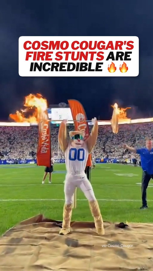 BYU's mascot is absolutely fearless 🔥
