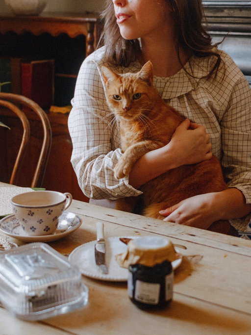 I’ve been putting off writing this because I think I’ve almost ran out of tears, but we very suddenly said goodbye to our beautiful boy Ron just over a week ago. Oh Ron, a lifetime with you wouldn’t have been enough. Just you walking into a room would brighten our days, but the fact you chose to spend your time as close to us as possible, not asking for anything but the comfort of company in return was the biggest bonus. I miss you softly snoring beside me as I work, then jumping onto my lap and forcing me to type at contorted angles to accommodate you. Burying my whole face into your soft fur and your comforting smell. Your speckled nose. I miss the sound of you shouting about your latest ‘catch’ as you came to show it off- socks you’d hunt from any available washing basket or open suitcase- “thank you Ronnie!!”, we’d say each time. Our bedtime routine where we’d all snuggle up together- I’ll forgive you for loving Miguel more than me. Every patch of sunshine I see looks empty now you aren’t basking in it. Windowsills are bare where you should be sitting. We never took a moment with you for granted, but that’s why it’s so much harder to say goodbye, these moments with you were the best parts of our day. You were so special, you helped carry us through hard times, and you’ll be in my heart forever.