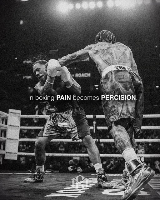 Tomorrow “The Sweet Science” collection goes live! Link in bio.
-
-
-
#boxing #boxeo #boxingbrand #boxingmotivation #boxingnews #boxingchampion #boxinglifestyle #boxinglife #boxinghype #boxingworkout #boxingtraining #boxingfan
#championmindset