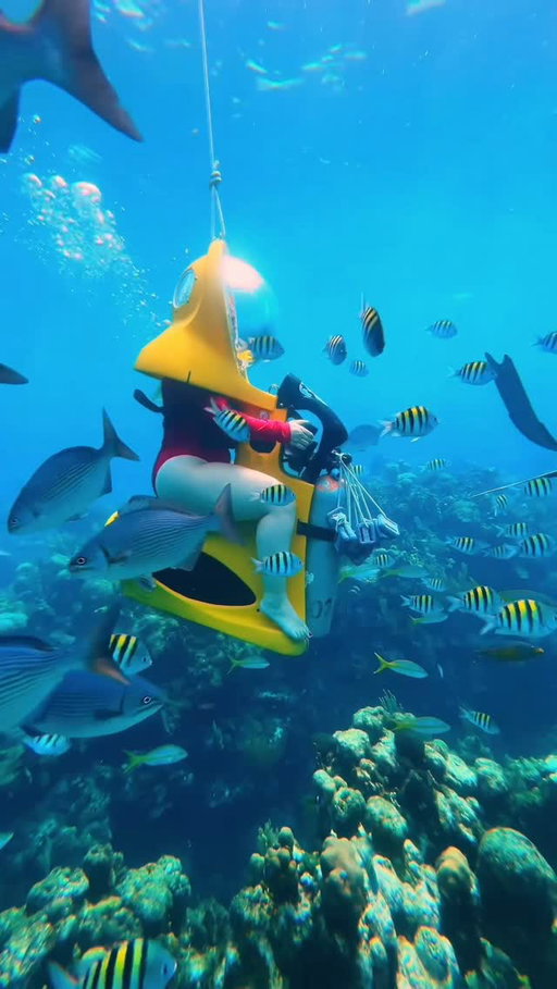 follow @georgeandcris for travel inspo 😍

Send this to your adventure buddy! 🐠😍

🤿 Did you know you can explore the vibrant reefs of Roatán on your very own underwater scooter? With BOSS Roatán, you glide beneath the Caribbean waves surrounded by colorful coral, tropical fish, and other fascinating sea life! 🐢💙

🪸 This experience was unforgettable! Cruising along the ocean floor, breathing comfortably inside your scooter helmet, and watching schools of fish dance around you… it was pure magic. ✨

DETAILS BELOW 👇

🏷️ Price: We did the “2 in 1” package which was around $125 per person & included underwater scooters + snorkeling. All gear is provided, just bring your swimsuit!

⏱️ Time: The full experience lasts about 3 hours, including orientation, scooter time, snorkel time, & surface breaks.

🤿 Experience: No scuba certification or swimming skills required. If you can sit and breathe, you can do this! (Obviously for the snorkeling portion, you will need to know how to swim.)

Who would you ride an underwater scooter with?! 

IB: @thelosttwo 

#Roatan #Honduras #BOSSRoatan #UnderwaterScooter #CaribbeanAdventure #TravelBucketList #IslandLife #MarineLife