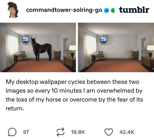 🐴 saddest story we ever heard