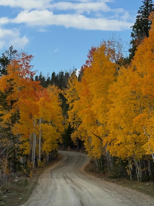 Can’t get enough of the fall color!🤩