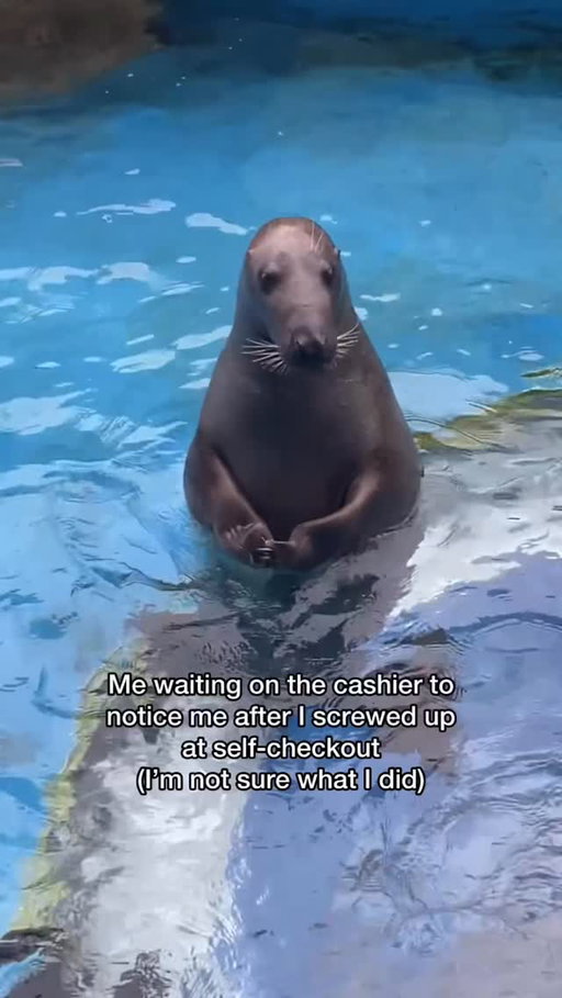 Oopsie 😬
(🦭: otta065 TT)