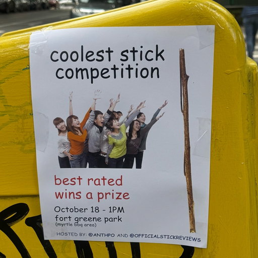 Are you coming?? Bring a stick and a friend!! October 18th! 1PM! Fort Greene Park! Be there or else 🫡🪵

#sticknation #fyp #nature
