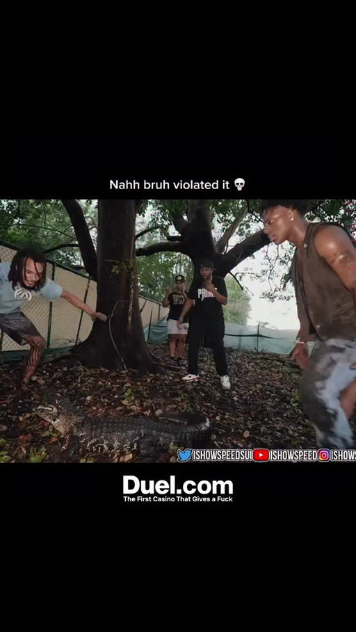 IShowSpeed, the viral American streamer, took his chaotic energy to a zoo stream—and it quickly turned into one of the funniest moments of his America Tour. What started as harmless fun soon spiraled into pure Speed madness. He was vibing, barking at monkeys, laughing with fans—until he saw an alligator.
Instead of backing off like a normal person, Speed walked straight up to it, leaned over, and started scratching the glass like he was greeting a pet dog. “Come here, lil bro!” he yelled, completely unfazed by the massive reptile. The chat went wild—spamming “BRO THINKS HE’S STEVE IRWIN” while Speed kept trying to “communicate” with the gator. It was fearless, random, and hilarious all at once—classic Speed chaos in its purest form.

#IShowSpeed #ZooStream #SpeedNation #StreamerLife #ViralMoment #WSpeed #AmericaTour #SpeedClips