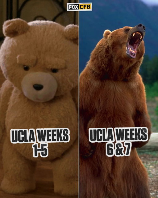 It’s been a complete turnaround for @uclafootball 🔥
