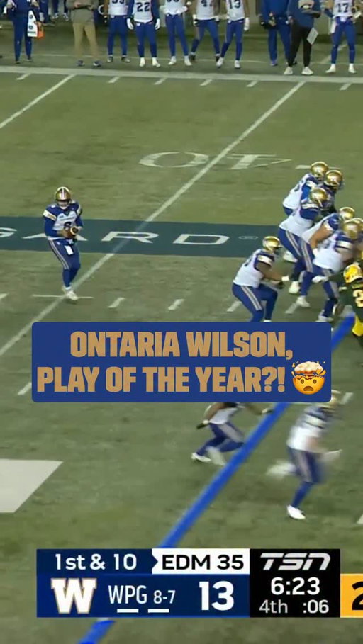 Is this the catch of the year!? 🤯

@WestJet Thanksgiving Weekend
📆: Blue Bombers vs. Elks LIVE NOW
🇨🇦: TSN
🌎: CFL+

#CFLGameday