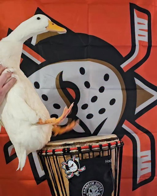BEN AFQUACK MAKES A GLORIOUS RETURN #FlyTogether