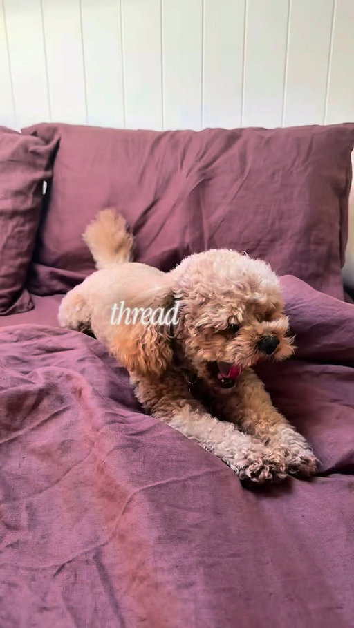 100% French flax linen. Cacao tones. Sustainable bedding from @bed.threads. 🤎
Read the full story about life in a tiny home over on the Bed Threads Journal ✨ #ad #paidpartnership