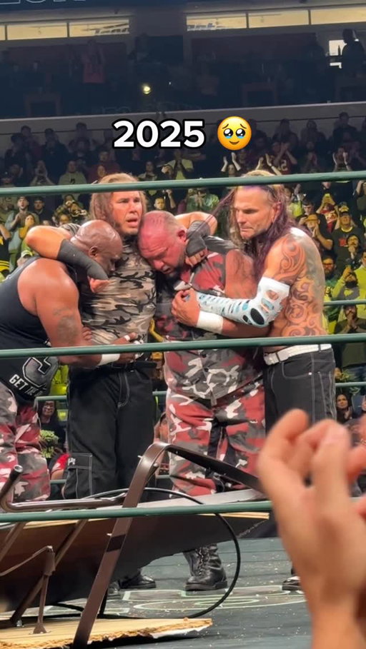 The most decorated teams in wrestling history. Team 3D and The Hardys. We started watching them in the early 2000s, and being there for their final match was special 🥹