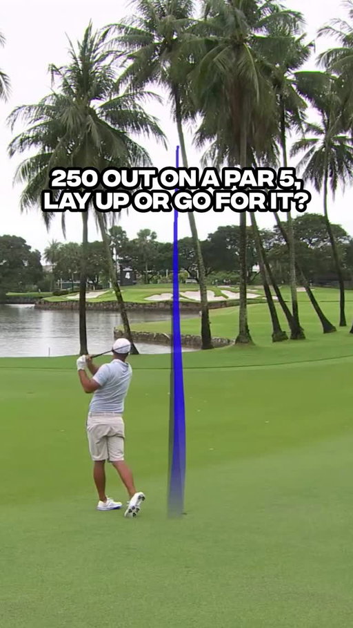 Let us know in the comments if you would even try this shot, be honest 😂

#SmashGC #BrooksKoepka