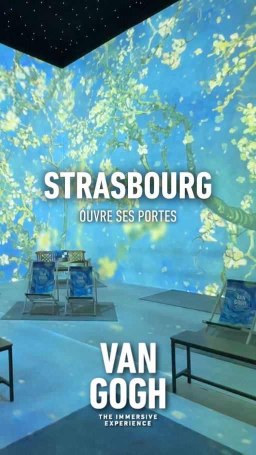 [LIEN EN BIO] Strasbourg, votre plan parfait pour l’automne est arrivé ✨
Plongez dans l’univers vibrant de Van Gogh et laissez ses chefs-d’œuvre prendre vie autour de vous.
Van Gogh: The Immersive Experience est maintenant ouvert, un voyage poétique que vous n’oublierez jamais 🍂

#VanGoghImmersive #Strasbourg #ArtEnImmersion #VanGogh