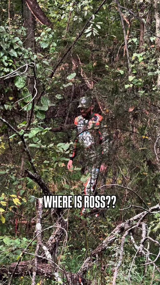 We've lost Ross