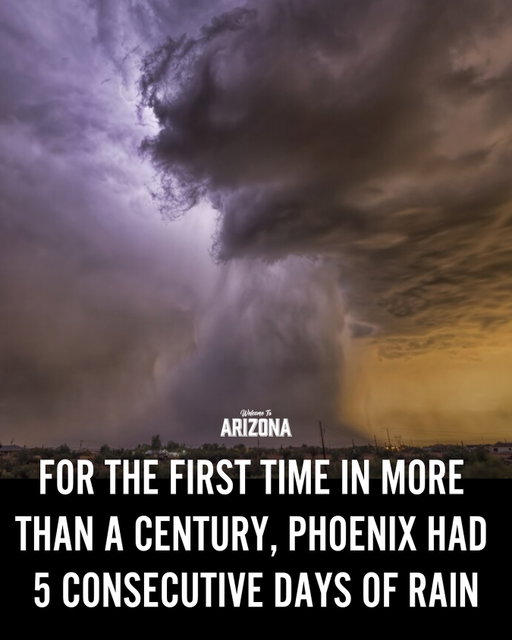 Phoenix just tied its longest streak of light rain in history with five days straight 🌧️ The last time this happened was back in 1916.

#phoenix #arizona #rain #weather #monsoon #desert #microburst