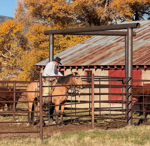 Fall shipping is in full swing across the West. I was happy to take rolls down to the ranch this morning, and say hi to all my old friends… sometimes I miss the busy cattle-working days! 😎
#ranchlife #western #mustachestyle #cowboys