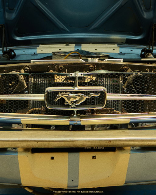 The face of a first-gen.

From its galloping pony grille to round sealed-beam headlights, the 1965 Ford Mustang® is an icon of style, stance and street presence.