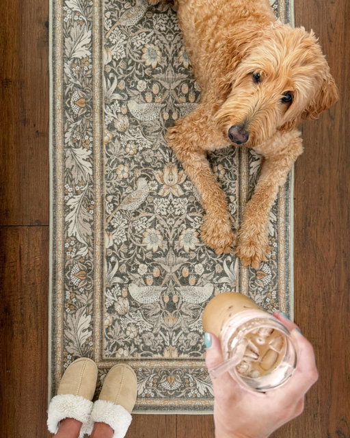 Designed for real life — coffee spills, paw prints, and all.
Photo by @brunoandlibby featuring our Morris & Co. Strawberry Thief Stone Gold rug