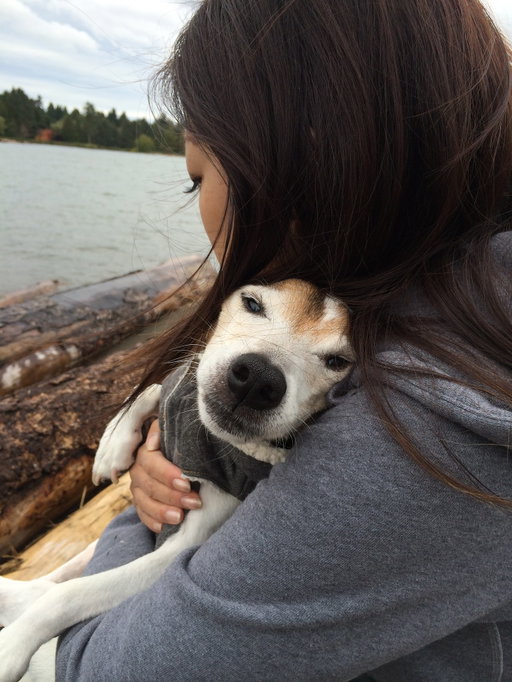 Happy Erniversary ❤️‍🩹

It’s been 11 years, and I still miss that little soul who watched me and Shelby grow up.

Erny was our first Jack Russell, gentle, loyal, and full of quiet love. He taught us patience, softness, and how much love can live in such a little body. Wish you could have met the kids. They would have loved you! 

We still miss you Erny 🩵