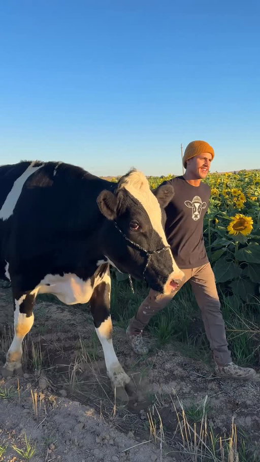 Farm stays are trending, and Bruce the cow called it first. 🐮 @elias_filmz

🔗Link in bio to learn more about the trends in travel in Vrbo’s Unpack ‘26 Report

#UnpackTravelTrends #FarmCharm #FarmStay #FarmLife #Vrbo
