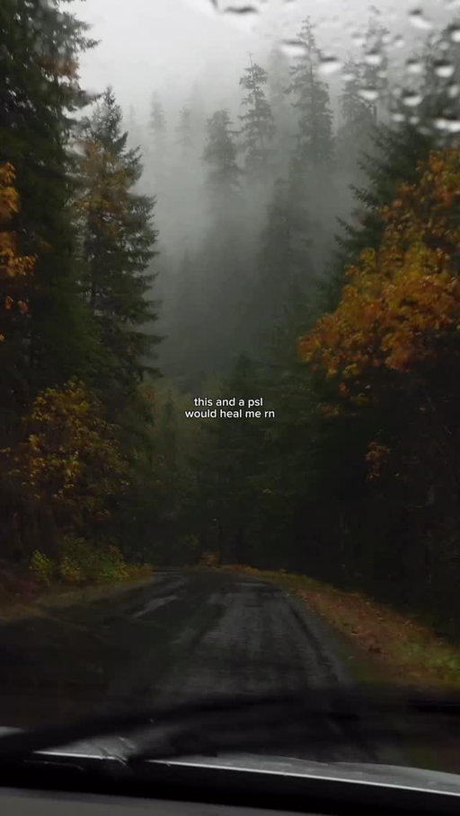 rainy drives are good for the soul 🌲🌲