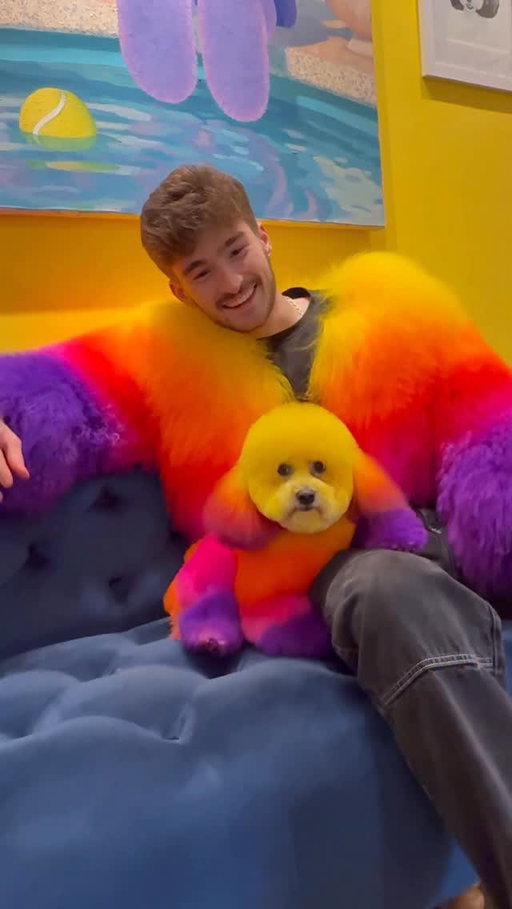 It’s not a fast process 😅 (read below) ⬇️ 
.
If you are wondering why some of these took so long, or maybe why your dog takes a long time at the groomer, there are MANY reasons this could be the case. In the case for the clients in the video, they all had longer hair and more intricate designs, takes longer to wash, dry, brush, etc.

1 - Type of haircut : do they get more complicated haircut? Typically the longer the hair the longer it will take 

2 - condition of your pet : have they not had a haircut in a while? Are they matted? Do they need more brushing? 

3 - temperament : is your dog easy to handle? Do they not like certain things, or get anxious? This also adds time 

4 - how often do you get them groomed : are they waiting MONTHS for haircuts? Most dogs  should be groomed every 4 weeks, this way they can also get used to the process. If they don’t go often, it may be more stressful since they are not desensitized. 

+ MUCH more but these are some main points to think about. Groomers are on you and your pets side, we have to work together 🤍
.
#dogs #doggrooming