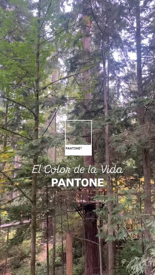 El color de la vida @pantonelatinoamerica
