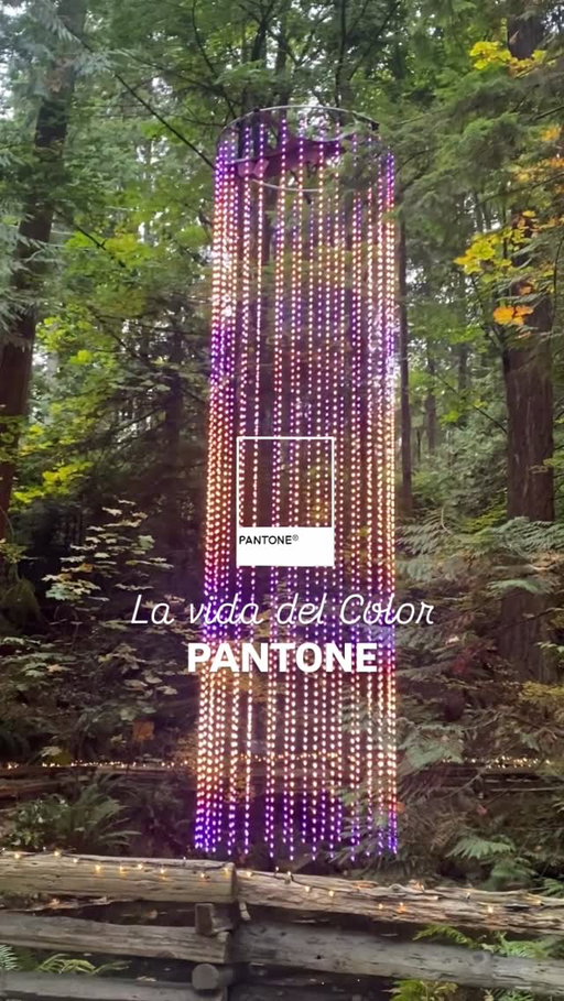 La vida del Color PANTONE @pantonelatinoamerica #color