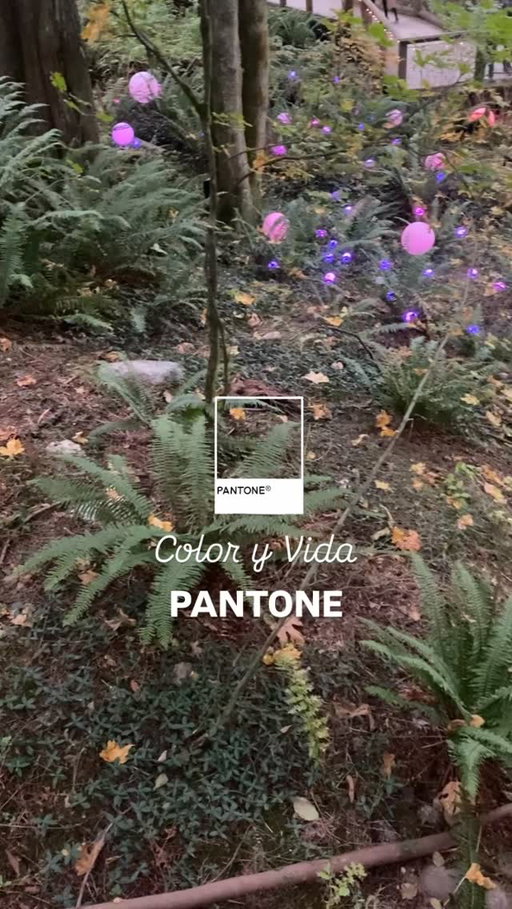 Color y Vida @pantonelatinoamerica #color #vida