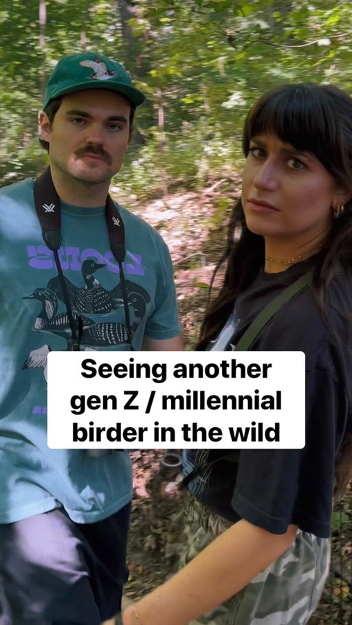 just trying to survive out here 

#birdwatching #birds #nature #memes