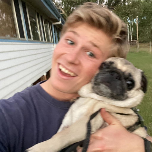 I wanted to give a health update on our sweet Stella! 
I am really happy to say that her results came back and it looks like her operation was successful and her cancer was completely removed. I’m SO relieved and happy that she is doing well. Thank you for all of your kind messages and well wishes for her ❤️