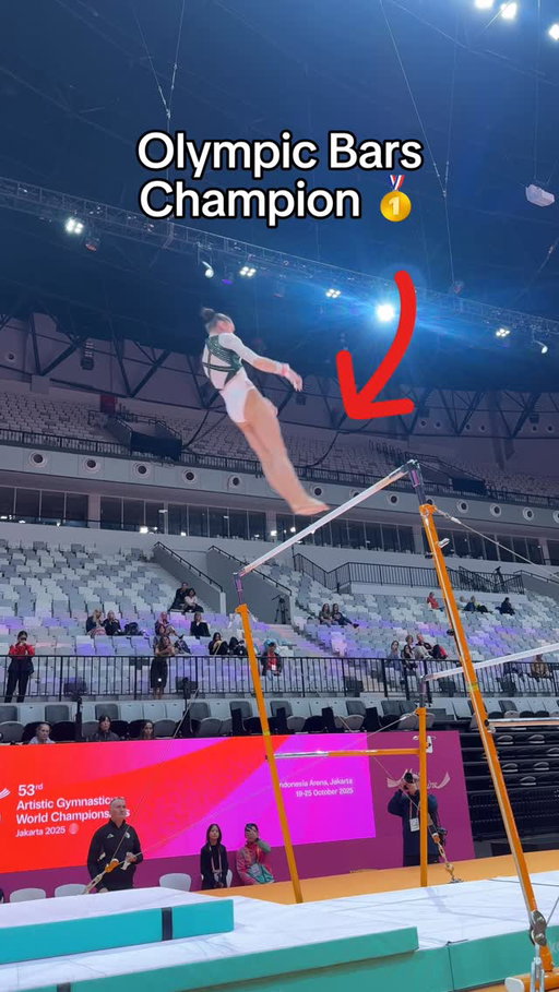 Her routine gives me chills 😳

#gymnastics #gymnast #olympics #olympic #sports #sport #bars #algeria
