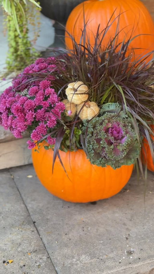 The easiest way to make your porch scream fall 🎃🌸 @courtneynaray
