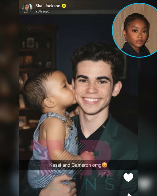 Awww! A few other photos #SkaiJackson liked & shared from the latest AI trend 🥺 (SWIPE) ✍🏾: #TSRStaffTC)