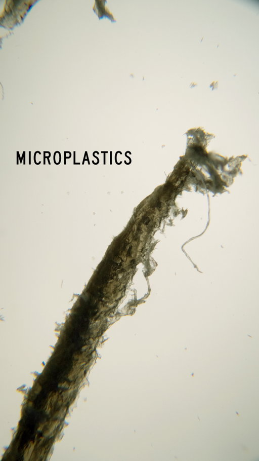 You can’t escape microplastics completely — they’re in the air, our food, even the cups we drink from.

Microplastics often travel with chemical compounds like PFAS and BPA—both linked to inflammation and hormonal disruption. But we can lower how much we take in and help our bodies clear what they don’t need.

Here are 5 simple ways to reduce exposure:
1. Use glass, stainless steel, or ceramic instead of plastic for hot food and drinks.
2. Don’t microwave in plastic; heat breaks it down faster.
3. Drink filtered water instead of bottled.
4. Eat fiber to support digestion.
5. Choose antioxidant-rich foods like broccoli and green tea to help buffer stress on the body.

@functionhealth offers testing that shows how your body responds to environmental toxins and reveals the impact of hidden exposures like PFAS and BPA from plastics.