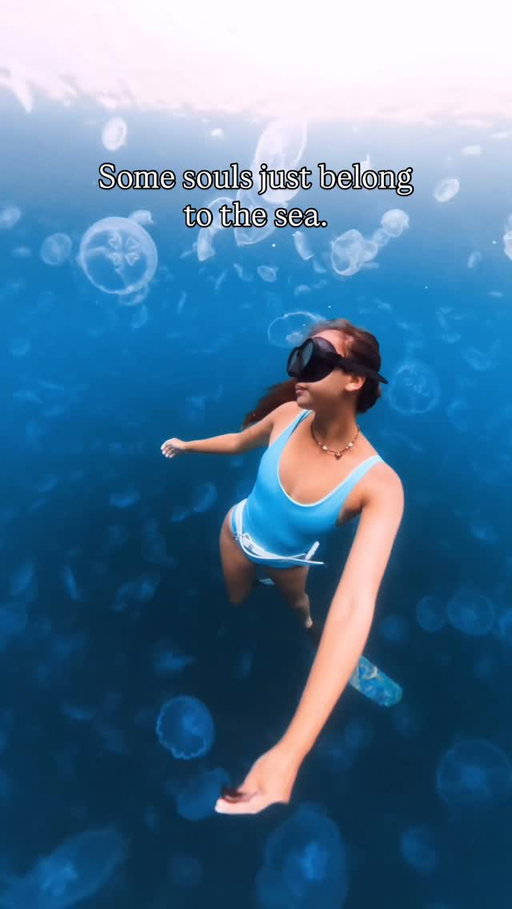 Just so happy here 🪼

#ocean #oceanworld #jellyfish #jellys #underwater #underwaterworld