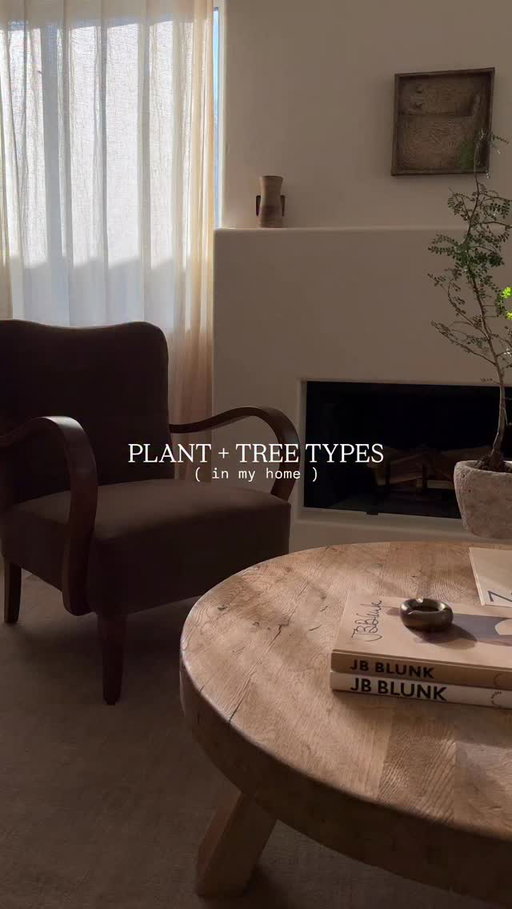 the height and sculptural element these trees bring to my home is everything to me. and keeping them alive hasn’t been as hard as i thought! 🤎

comment “DETAILS” if you want links to the trees + planters!