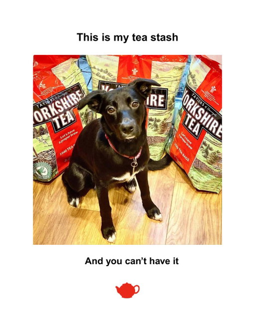 Don’t mess with the stash.
--
📷 @cuppa_architects