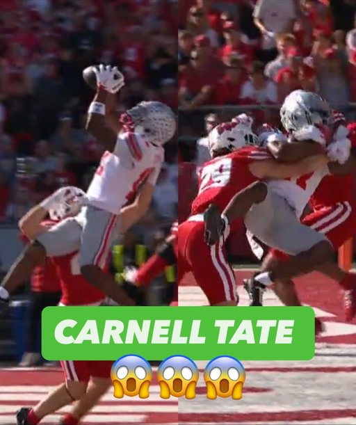 OH MY GOD. @carnelltate (via @cfbonfox)