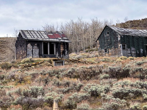 A 16x20 cabin. Long, stormy winters miles from any store or doctor. A pioneer mother and her little children. These are the stories I love, and the reason I scoff when someone tells me I’m strong. We don’t know what a hard life is, anymore. 
#pioneers #wyoming #homestead