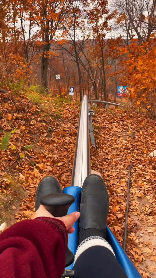 Fall mountain coaster ⛰️🍂 It’s been a year since I went on this — it was so much fun!

#mountaincoaster #fallincanada #fallinottawa #fallleaves