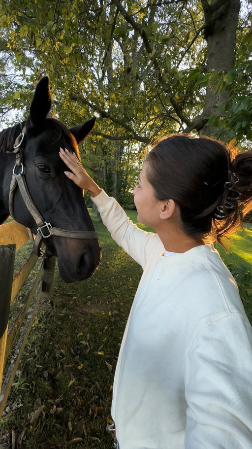the many personalities from my *therapeutic* retreat 🌿🍃🌱 #kentucky #animals #horse #dogs #cats