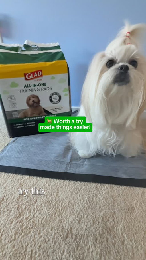 Clean house, happy pup 🖤 Glad Charcoal Pads keep it fresh, dry, and odor-free, even on training days!  #ugc #ugccreator #petugc #ugcpet #pet