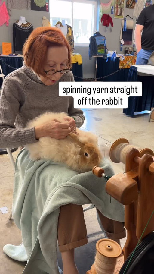 i need a rabbit now